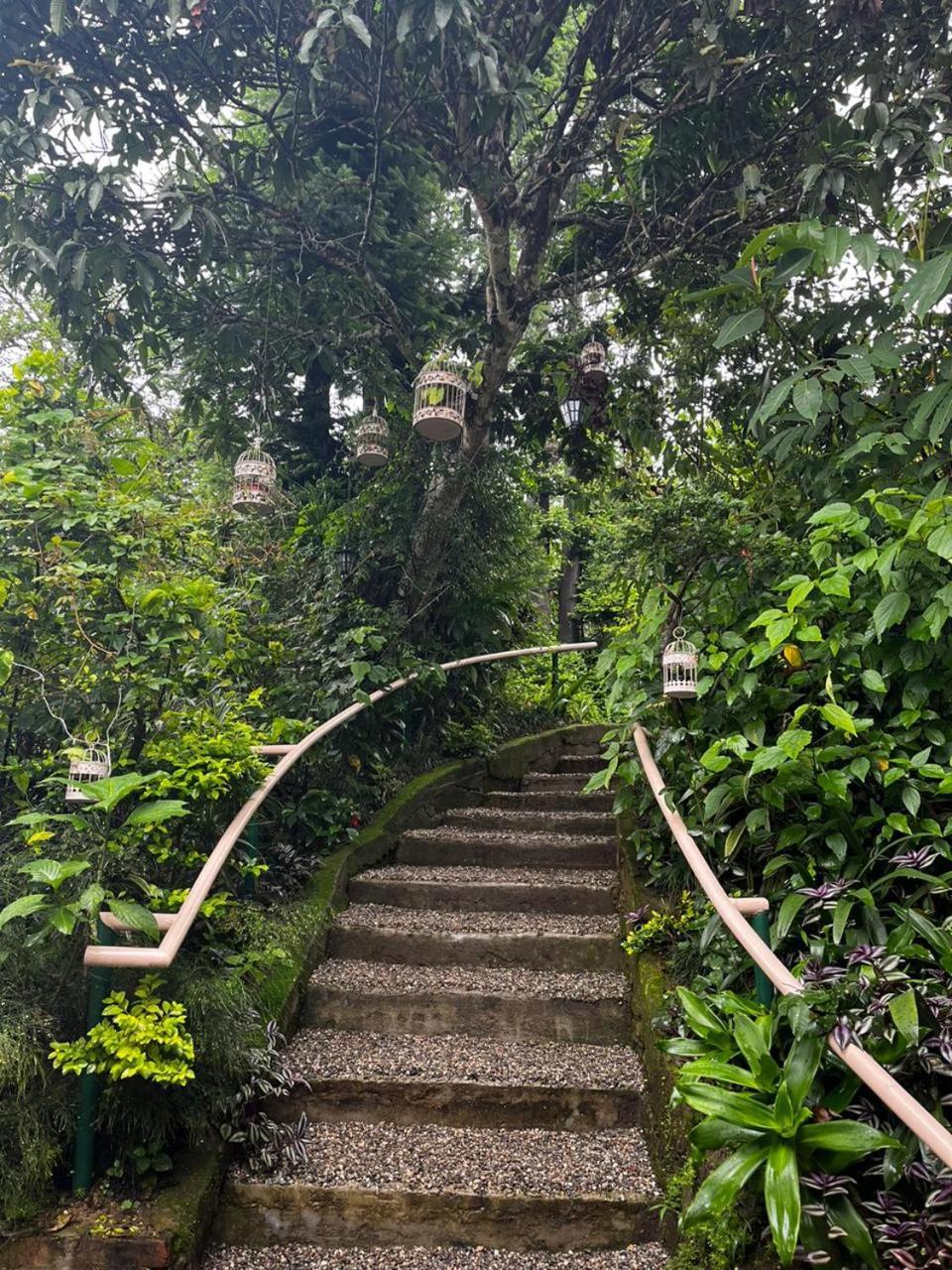 Aam'S Courtyard Hotel Kalimpong Exterior photo