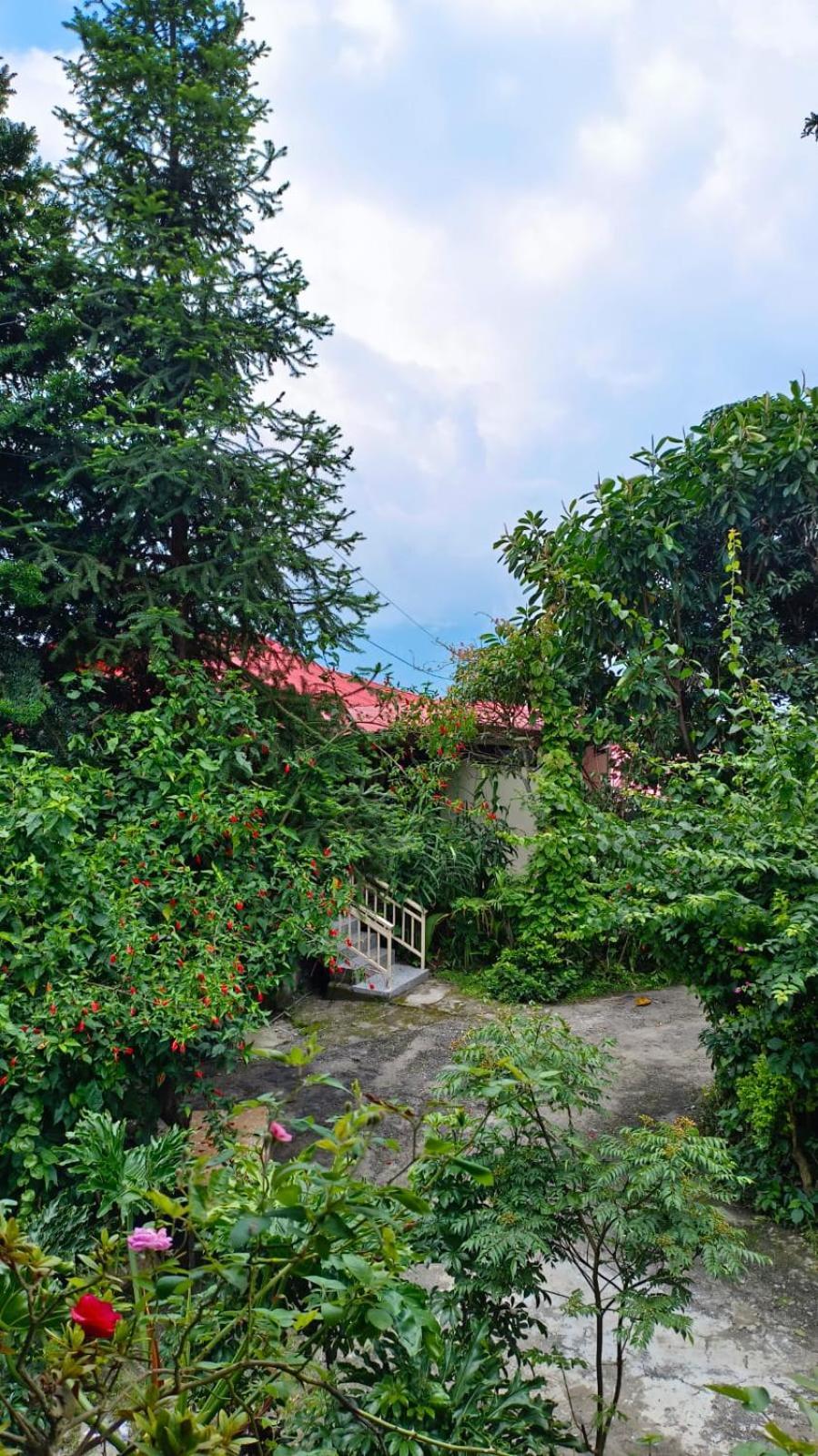Aam'S Courtyard Hotel Kalimpong Exterior photo